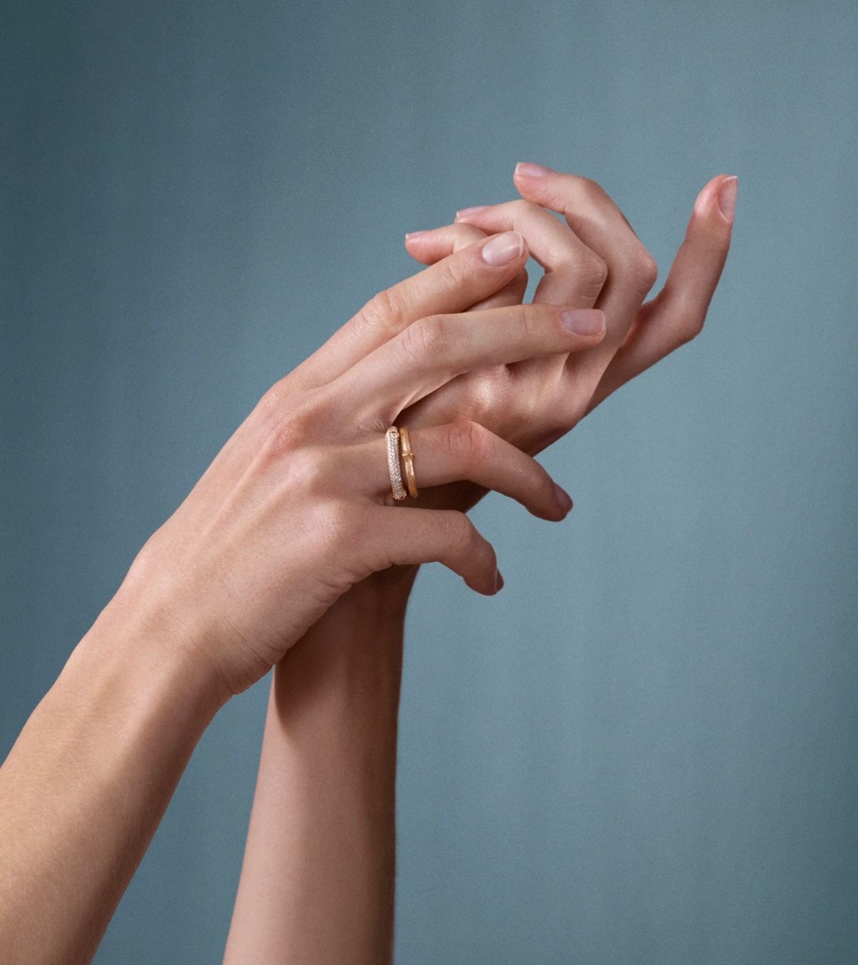 Ole Lynggaard Anelli: Neuer Ole Lynggaard Nature Ring No. 2 - Gr. 55 – Nuovo e nell'imballaggio originale da Winterthur venduto da BB___84 3