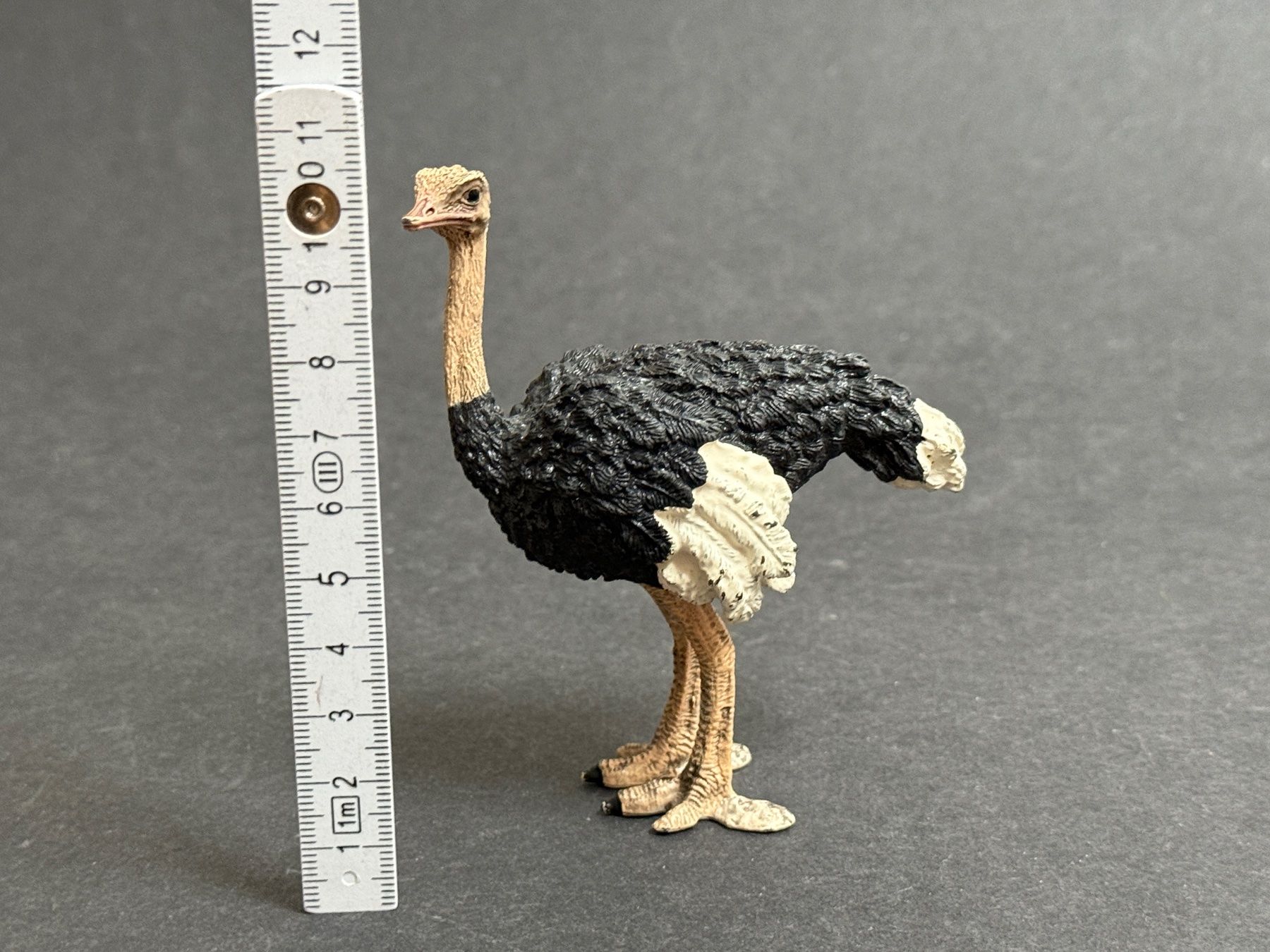 Schleich Statuette: Schleich Strauss Straussenmännchen – Usato da Ennetbaden venduto da mapa05 3