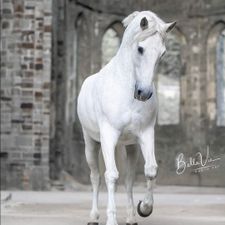Profile image of mar_nyb2