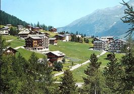 SAAS-FEE Wildi