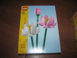 Lego 40647 - Lotusblumen - Botanical NEU MISB