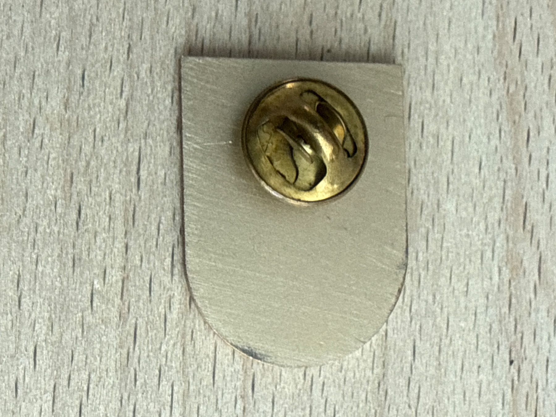 Plaquettes & Badges: Pin Wandergruppe A.M.C. Cham – D'occasion à Glattbrugg par Schweigmatt 1