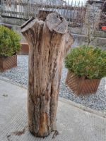 Holzstamm, Baumstamm, Deko, Gartendeko, Unikat, Top!
