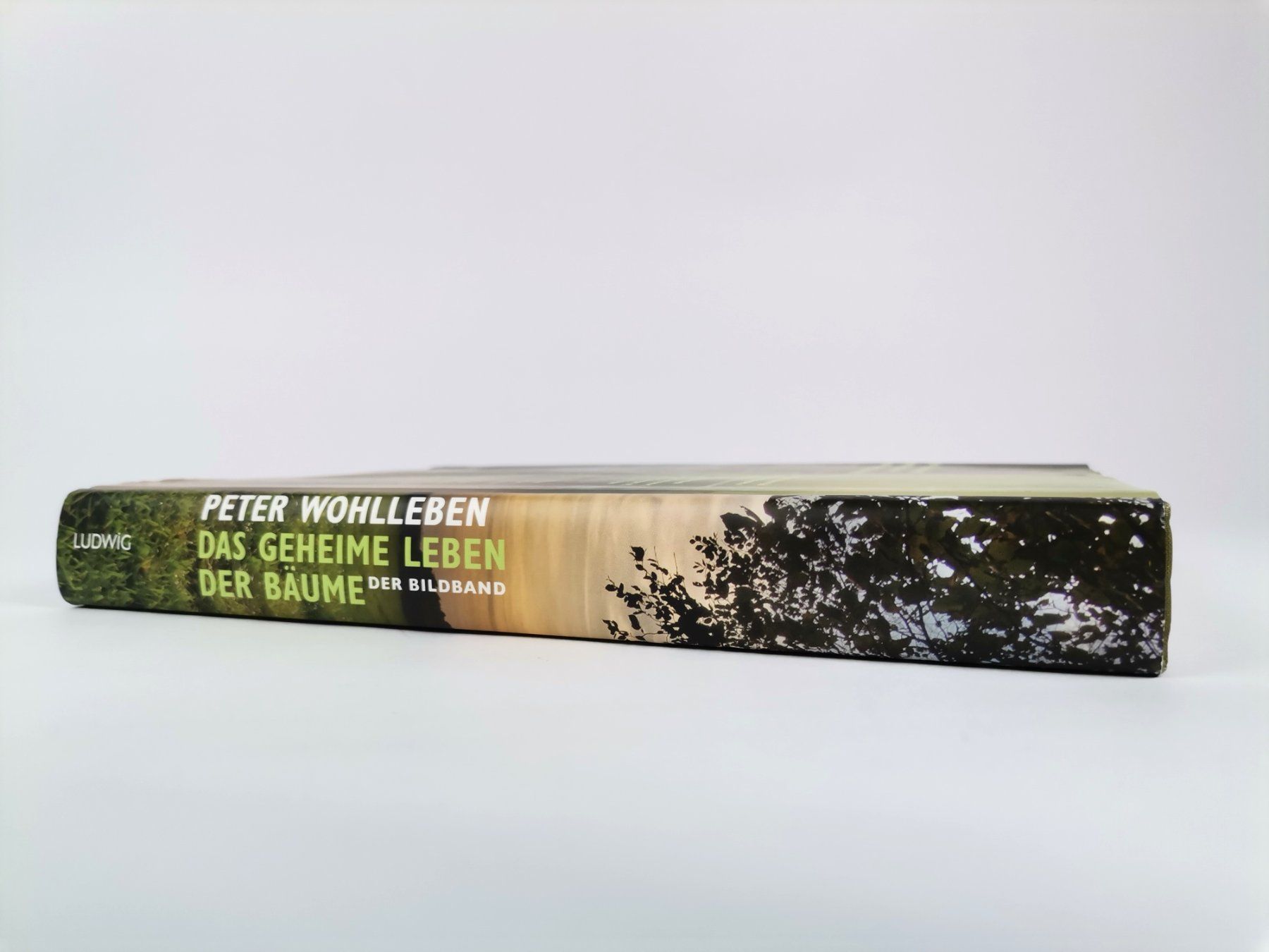 Libri: BUCH Das geheime Leben der Bäume – Usato da Schaffhausen venduto da Restwert_SH 3