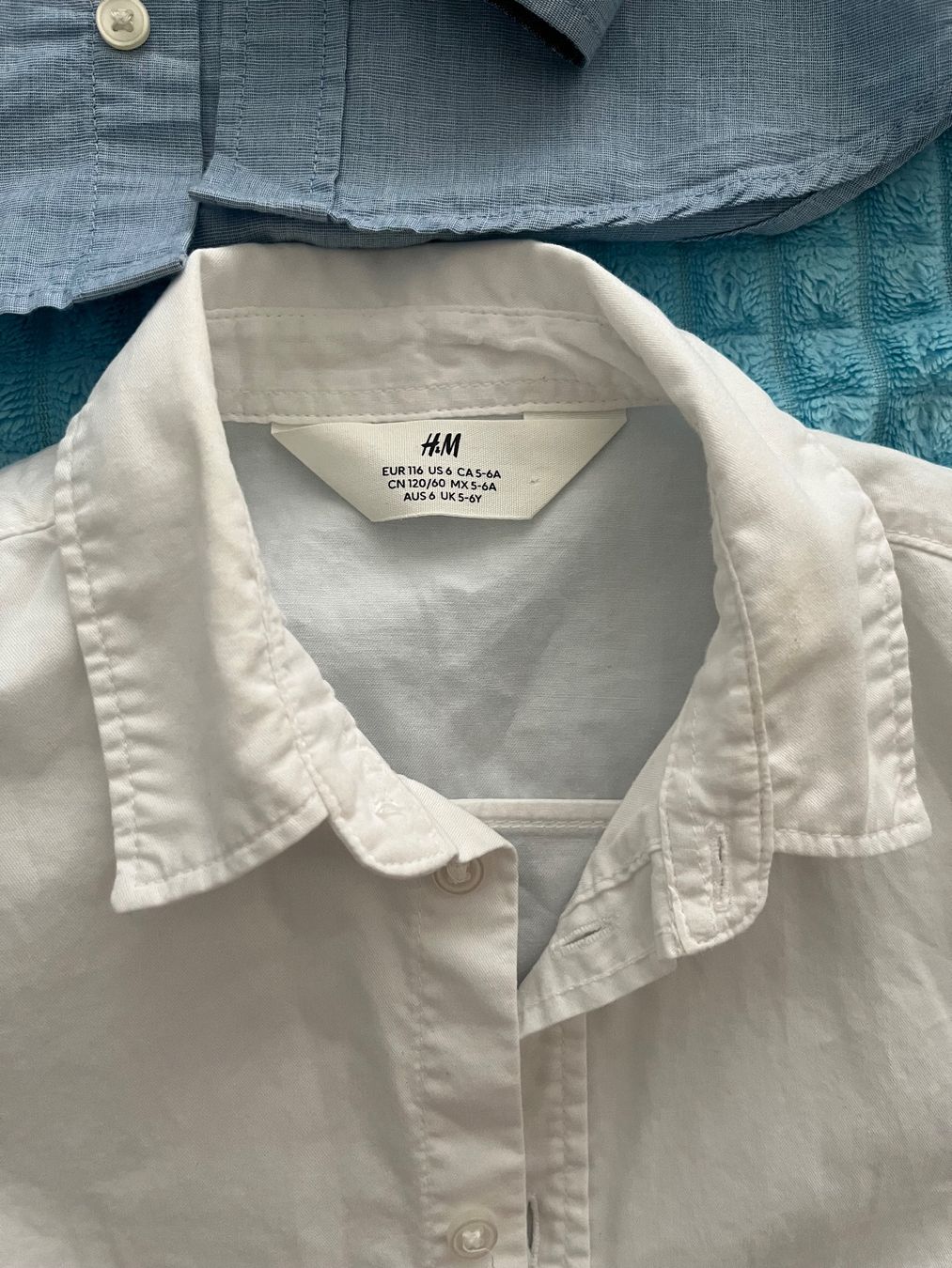 Camicie, T-shirt & Polo: H&M Hemd Gr. 116 – Usato da Bern venduto da kho_s6j8 2