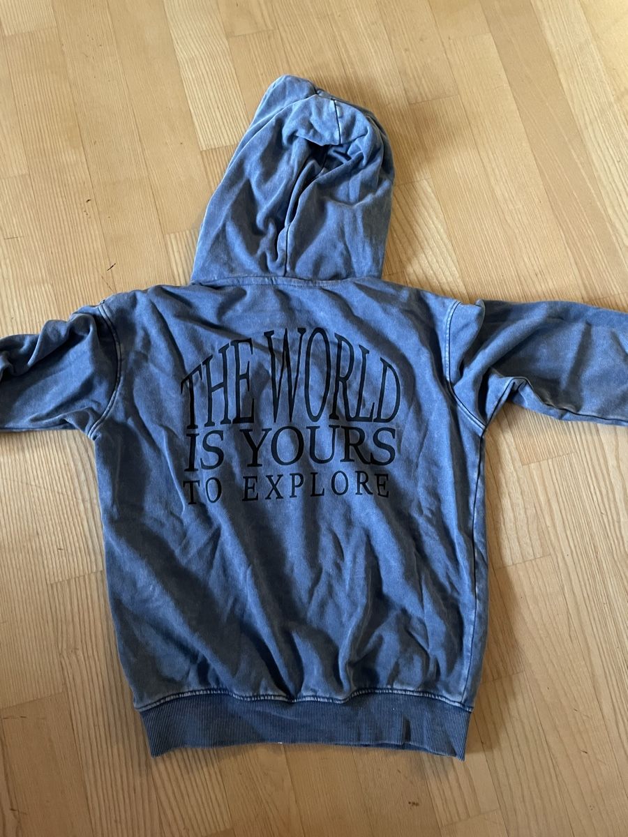 H&M Pullover & Sweatshirts: Kapuzenpullover blau 134/140 – Gebraucht aus forch von Draechli789 1