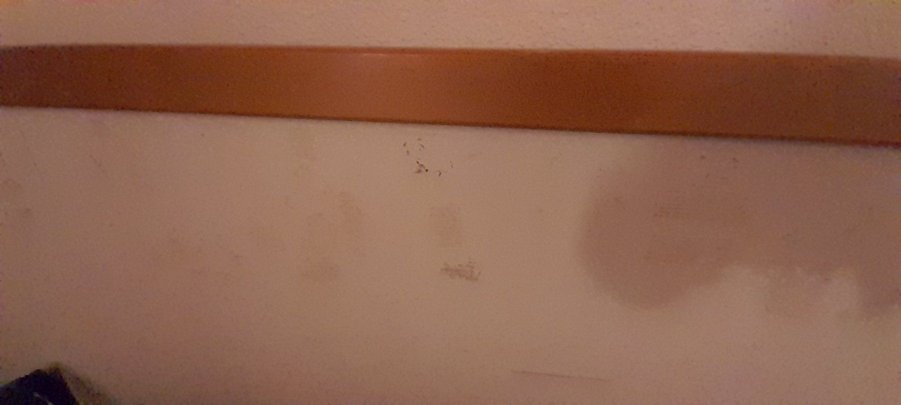 Letti: Hochbett Holz Natur mit Leiter – Usato da Effingen venduto da stolzfamily 5