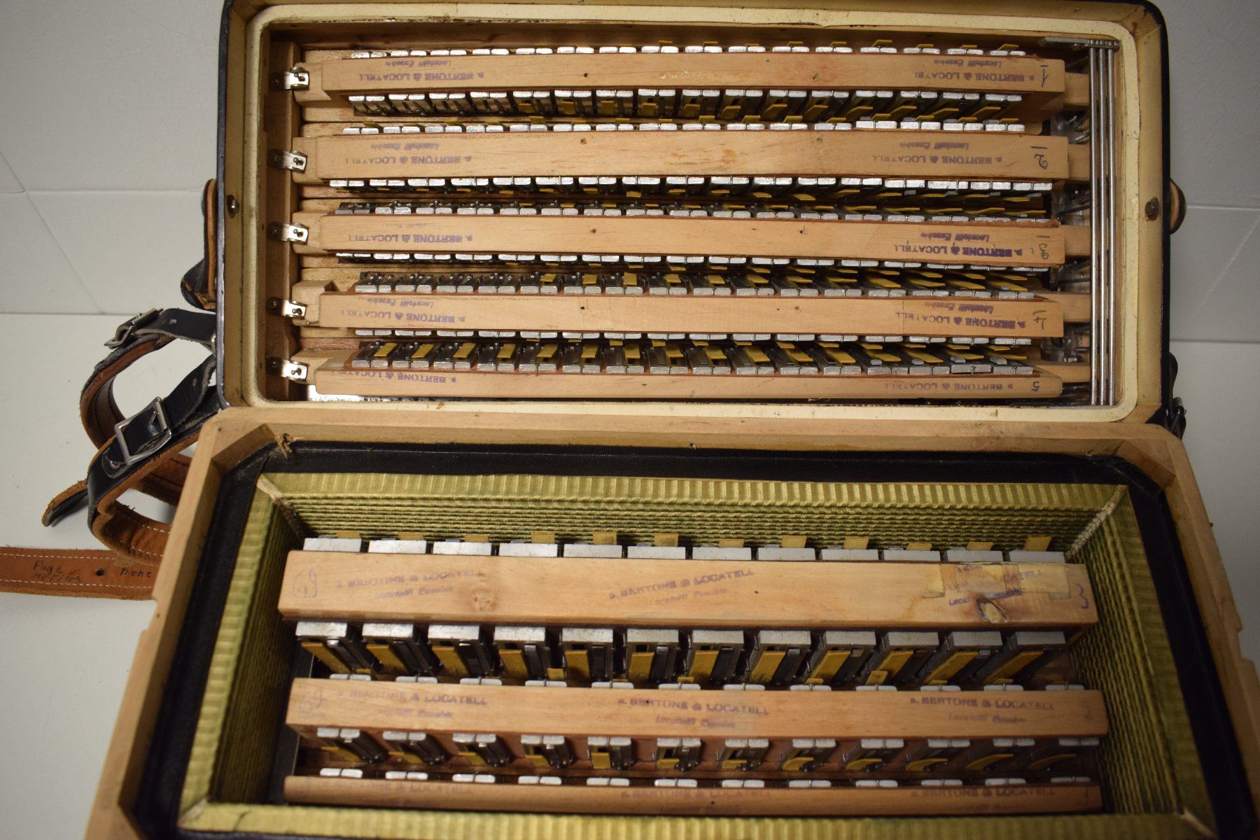 Strumenti musicali: Akkordeon chromatisch Accordeon Star Stufengriff – Usato da Zürich venduto da baumusik 9