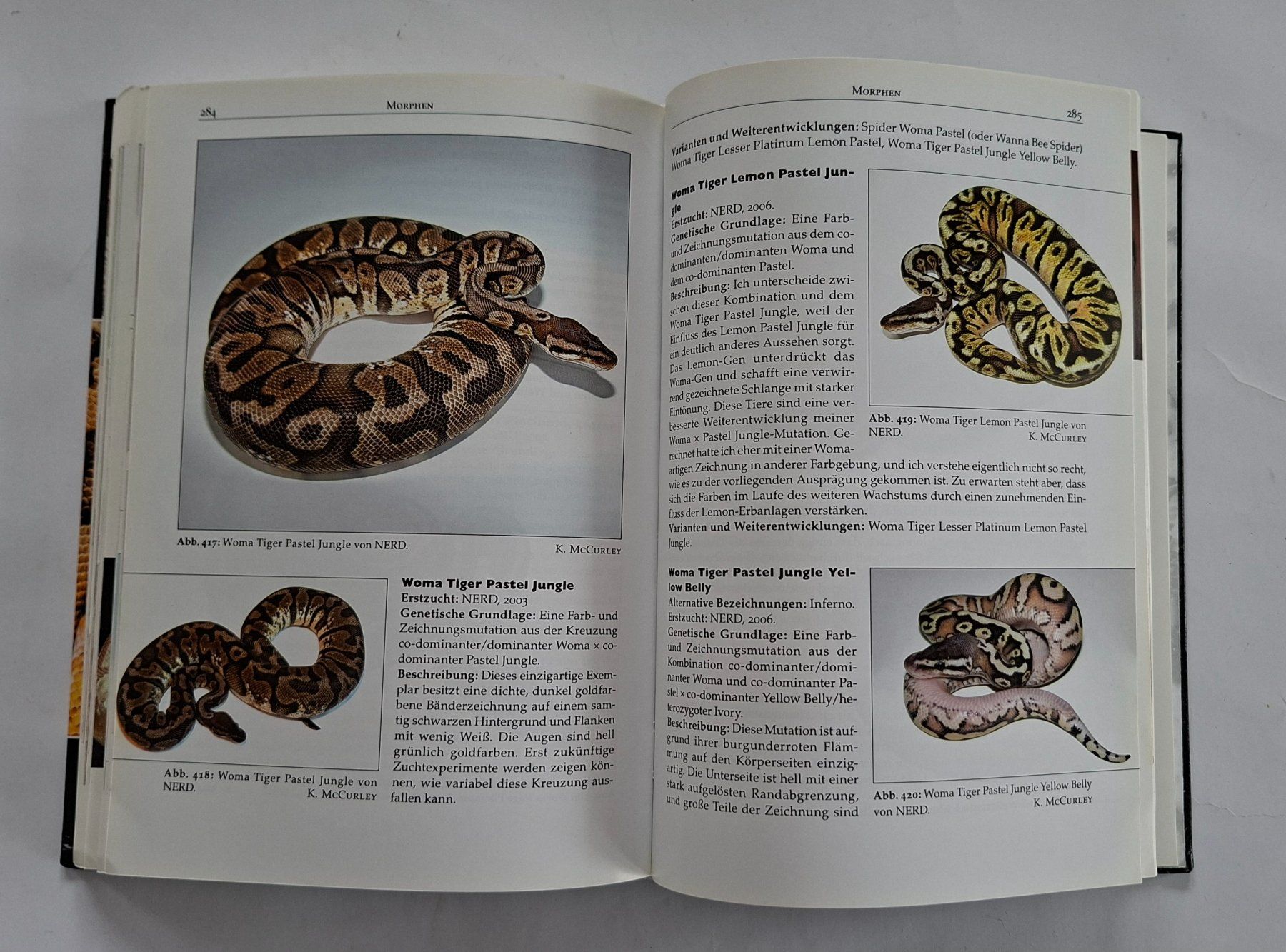 Bücher: Python Regius - Das Kompendium, Kevin McCurley – Gebraucht aus Opfikon von Diversamente 7