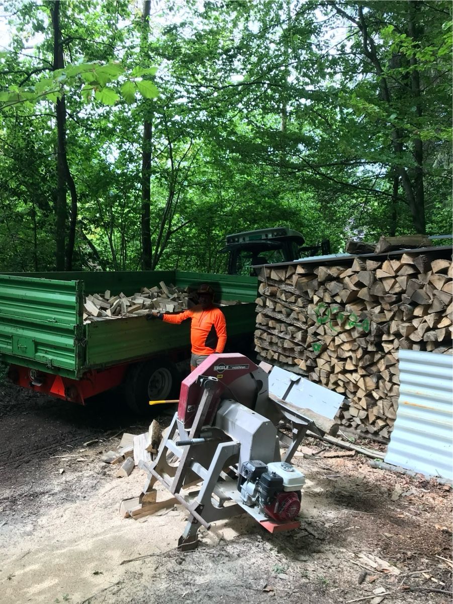 Articoli in legno: Brennholz / Cheminéeholz – Nuovo (secondo la descrizione) da Subingen venduto da PaMuri 3