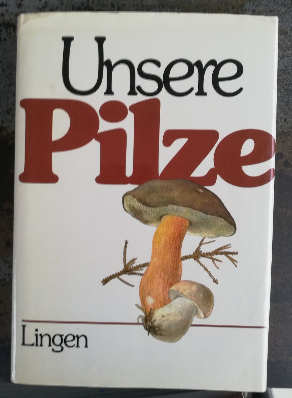 Livres: Unser Pilze – D'occasion à Hildisrieden par Malve
