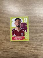 Panini Fifa WM 2026, QAT 8