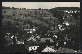 Zeglingen, Ortsansicht mit Feldern aus d