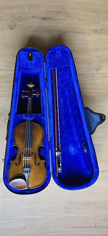 Strumenti musicali: Violino Stentor Student 1/2 – Usato da Bellinzona venduto da Friederike_A 1
