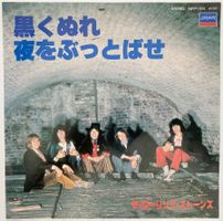 ROLLING STONES - PAINT IT, BLACK