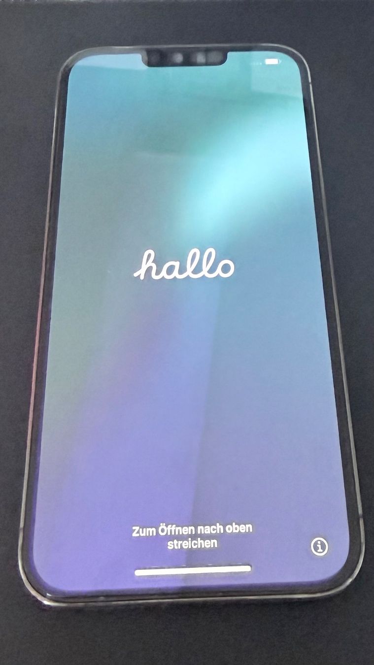 Apple Handys / Smartphones: iPhone 13 Pro Max 256 GB – Gebraucht aus Basel von stalders72