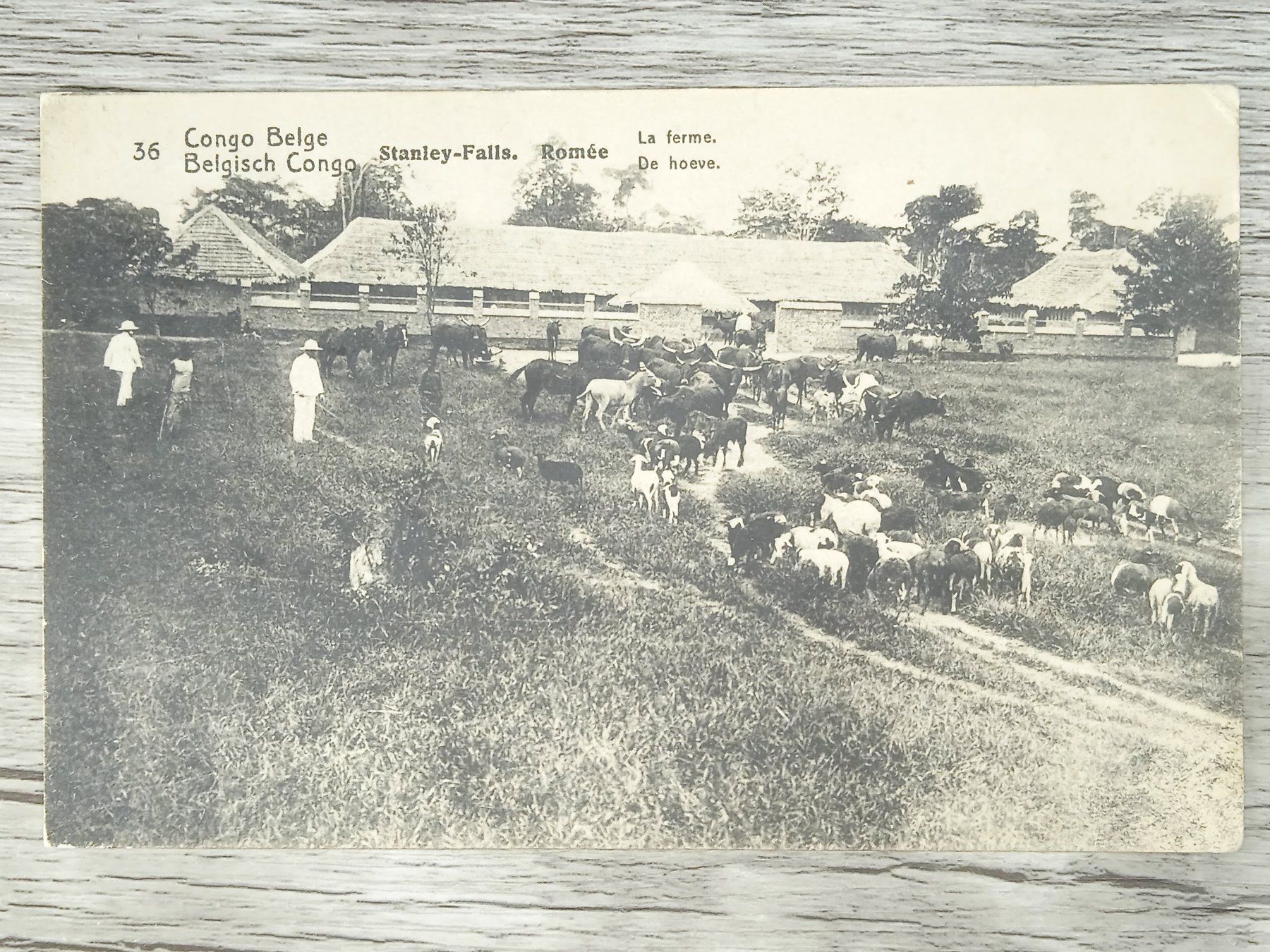 Tutti i francobolli: TR04 Carte Postale + Timbre Congo-Belge 1921 – Usato da Cousset venduto da Patrick_Collections