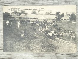 TR04 Carte Postale + Timbre Congo-Belge 1921