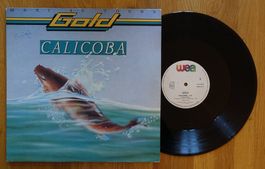 Gold – Calicoba - MAXI - T