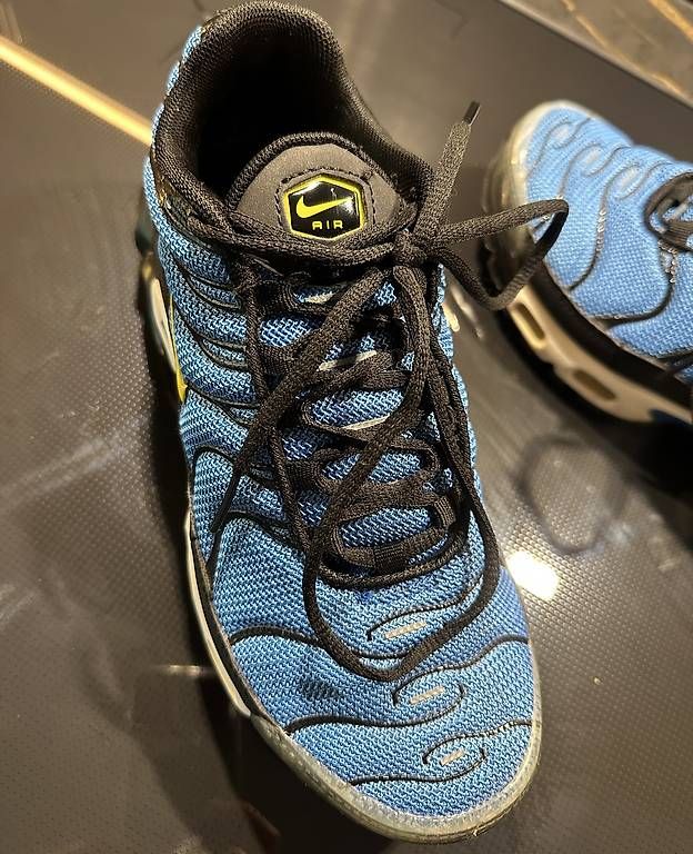 Nike Herrenschuhe: Nike TN Air Max plus état neuve P. 39 – Neu (gemäss Beschreibung) aus La Chaux-de-fonds von ccjp 1