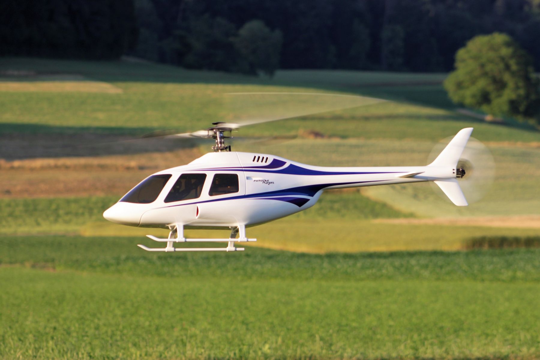 Robbe Modellismo RC: ROBBE Futura Royal E-Power – Nuovo (secondo la descrizione) da Gontenschwil venduto da Hpassat 1