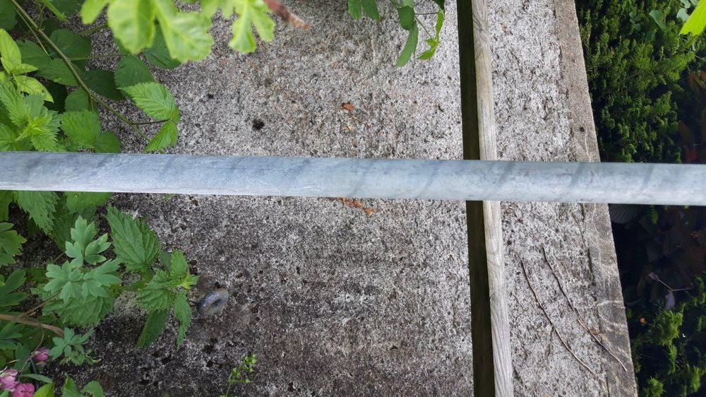 39+ Stangen Garten, Stangenbohnen sind ertragreiche kletterpflanzen,