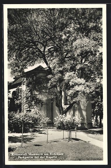 Cartoline postali: Mammern am Bodensee, Kuranstalt, Parkpar – Usato da Berlin venduto da bartko-reher