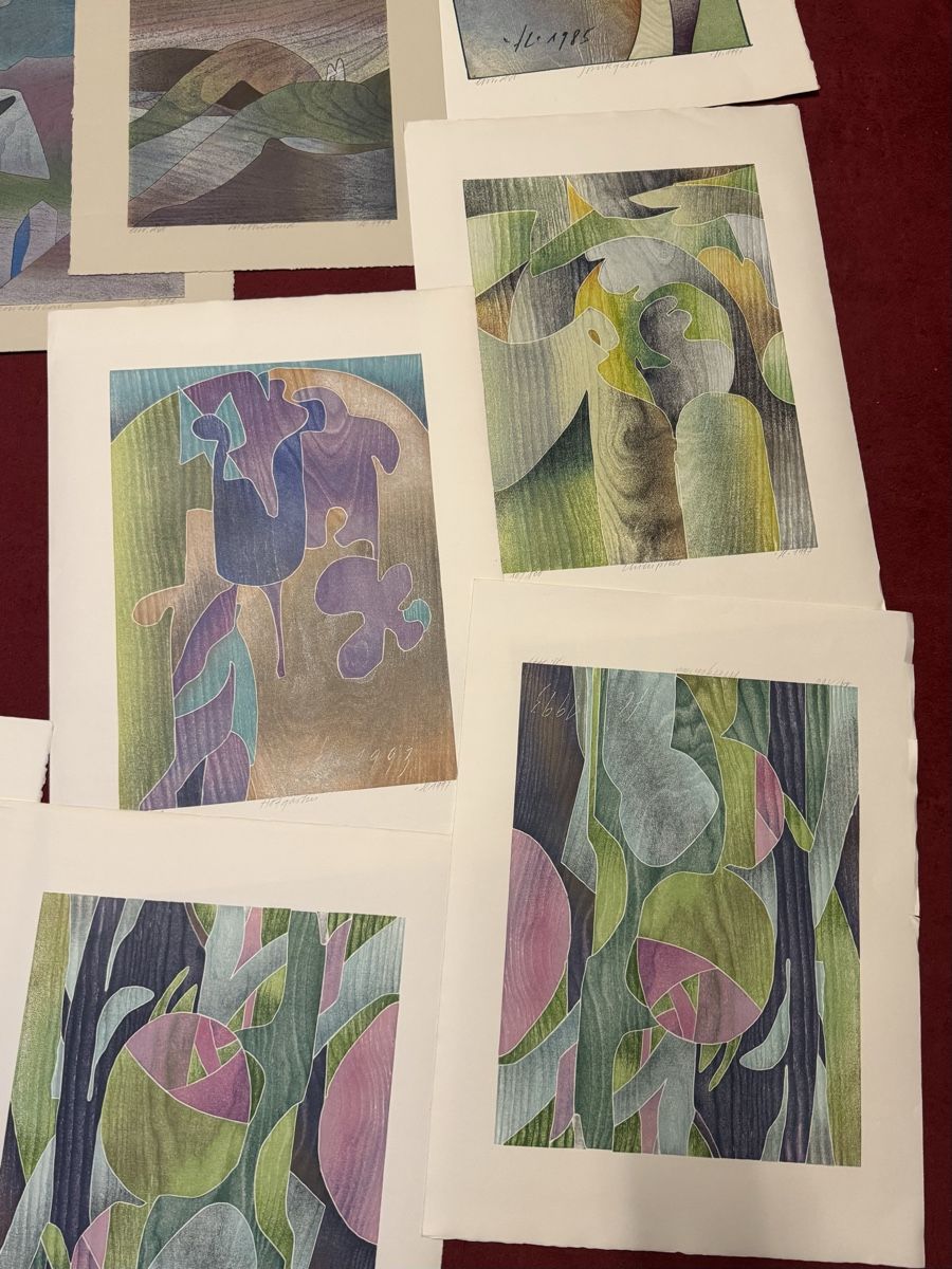 Grafiken & Lithographien: Lithos Hand signiertes Bilder 15 stk.  – Gebraucht aus Schlieren von Freundlich02 4