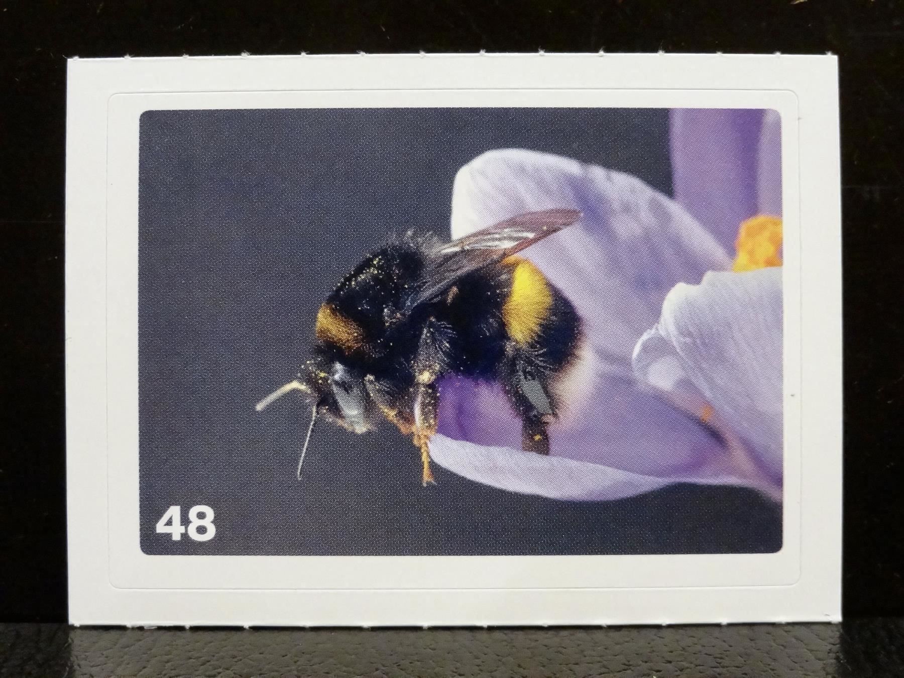 Migros Carte collezionabili: MIGROS MANIA Nature Detectives Nr. 48 – Usato da Kerzers venduto da zimmergruen