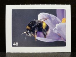MIGROS MANIA Nature Detectives Nr. 48
