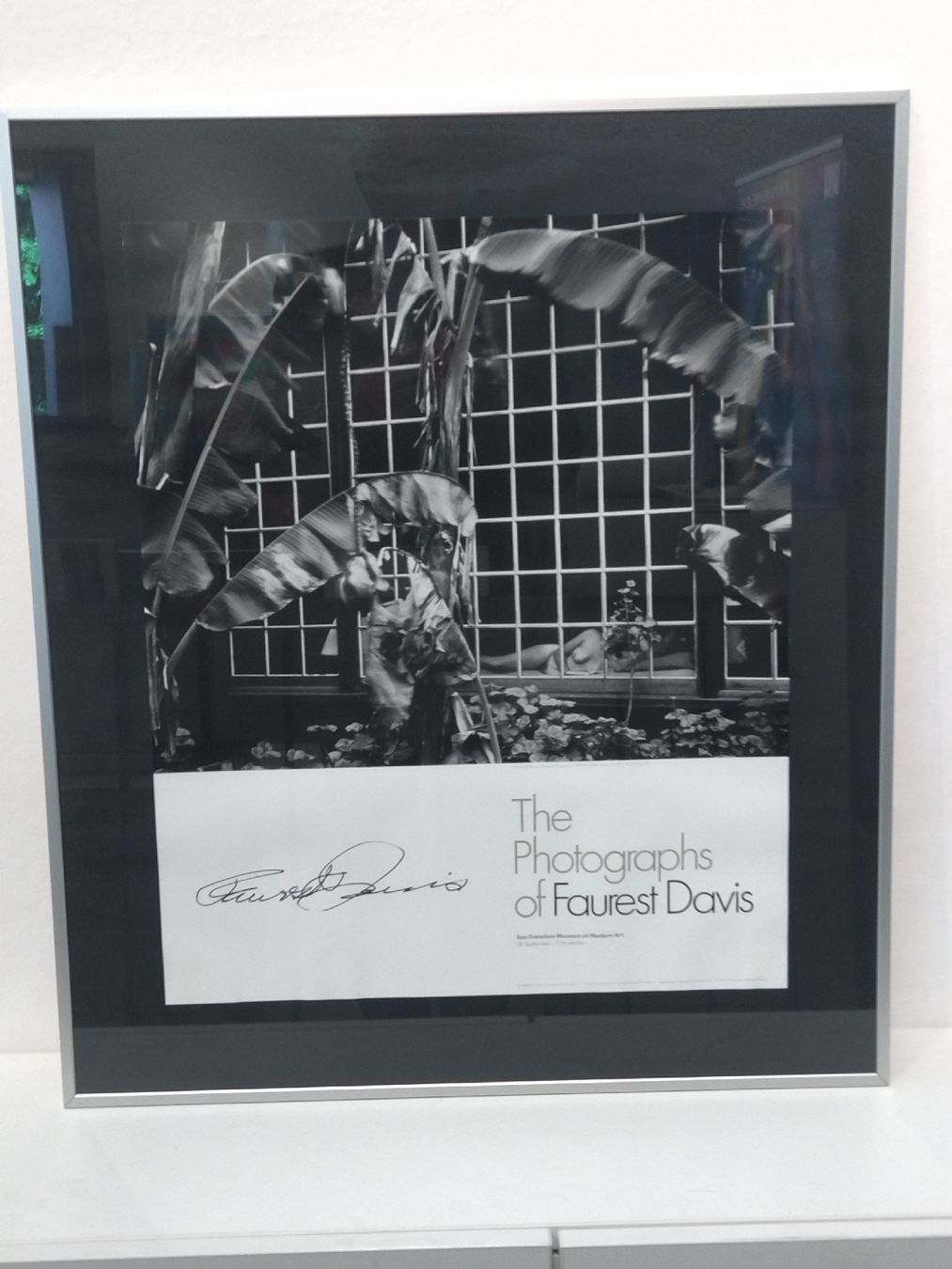 Foto & Immagini: Faurest Davis Originalfoto – Usato da Zürich venduto da Top-Deal-Schweiz