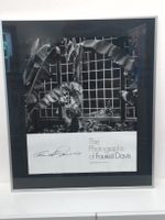 Faurest Davis Originalfoto