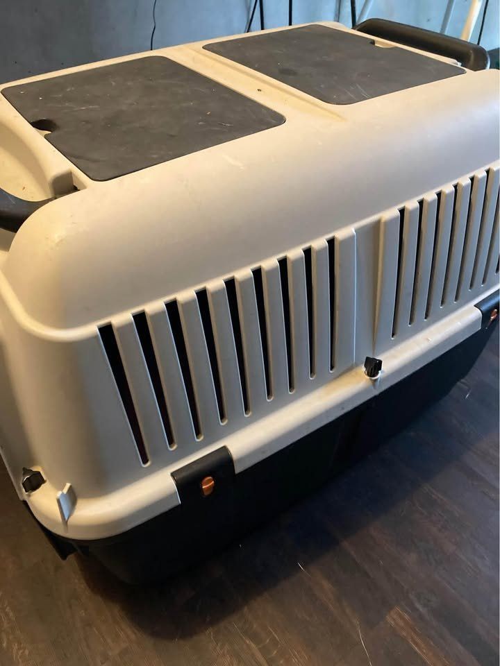 Gabbie, trasporto & Sicurezza: Branco Hundetransportbox Nr. 4 – Usato da Basel venduto da ste_d8hq 1
