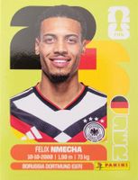 Panini FIFA World Cup GER 12