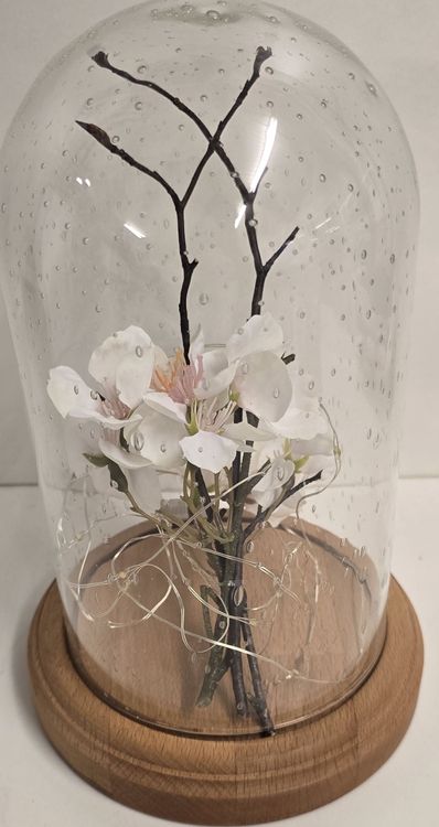 Glasglocke Mit Holzsockel - Staubdichte Abdeckung Für Deko