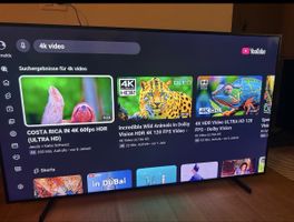 Samsung The Frame 65" + Wandhalterung + One Connect Box