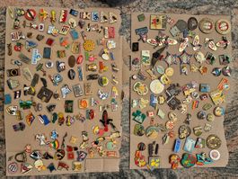 Pins/spille