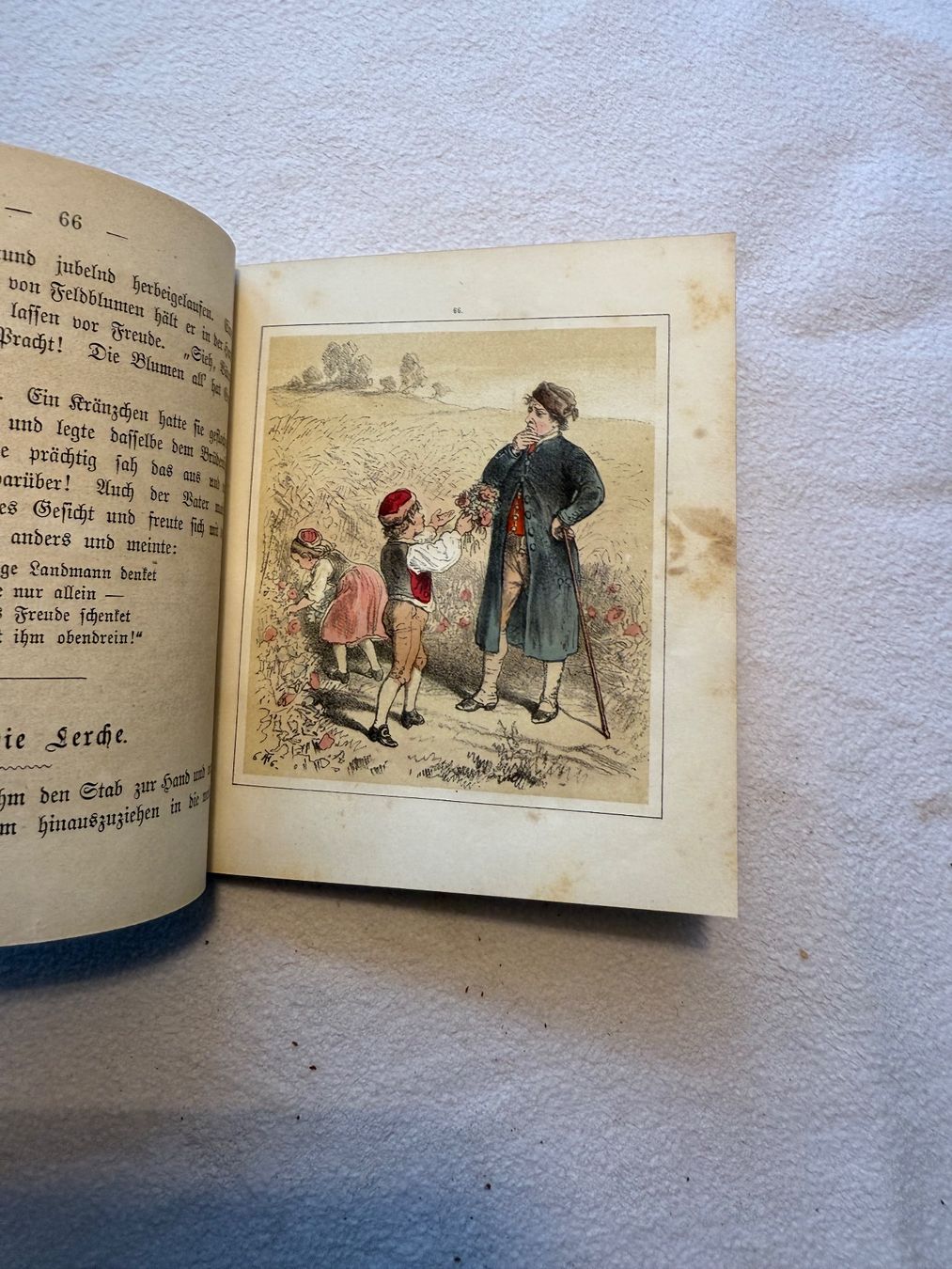 Libri: Der Kindergarten und Alles was da lebt und webt. – Usato da Bern venduto da xberg36 2