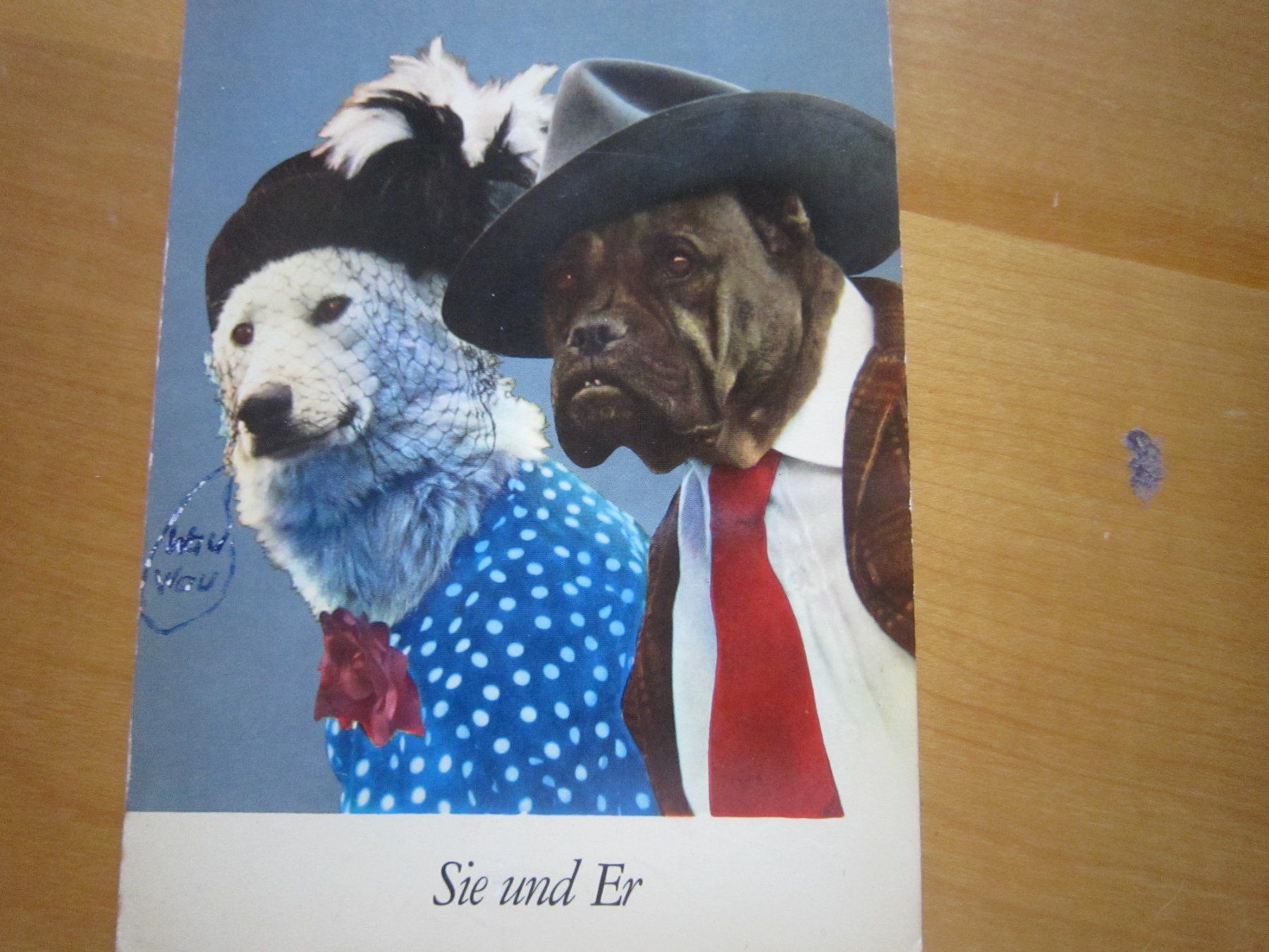 Cartoline postali: No 17 schöne Postkarte Sie und Er – Usato da Gordola venduto da Polentaefung 1