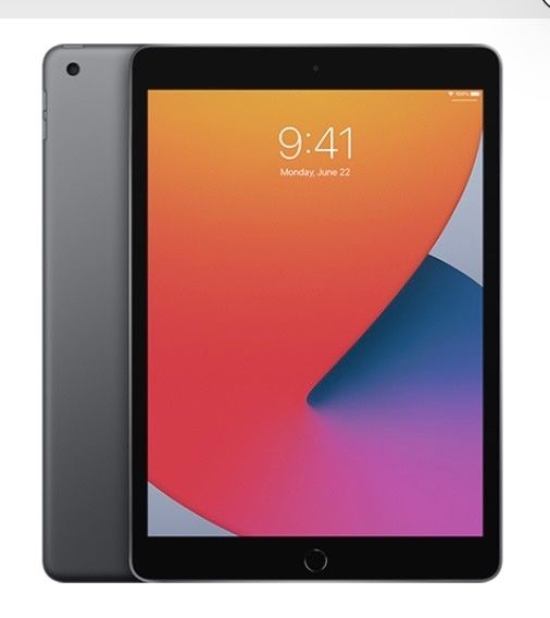 Tablet PC: iPad 8  PRIVAT – Usato da Hausen am Albis venduto da renatobalsiger