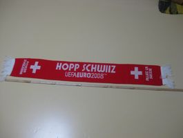 Fussball EM 2008 Schaal Nati SUISSE / HOPP SCHWIIZ