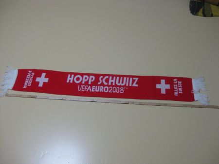 Fussball EM 2008 Schaal Nati SUISSE / HOPP SCHWIIZ