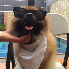 Profile image of pupperfren