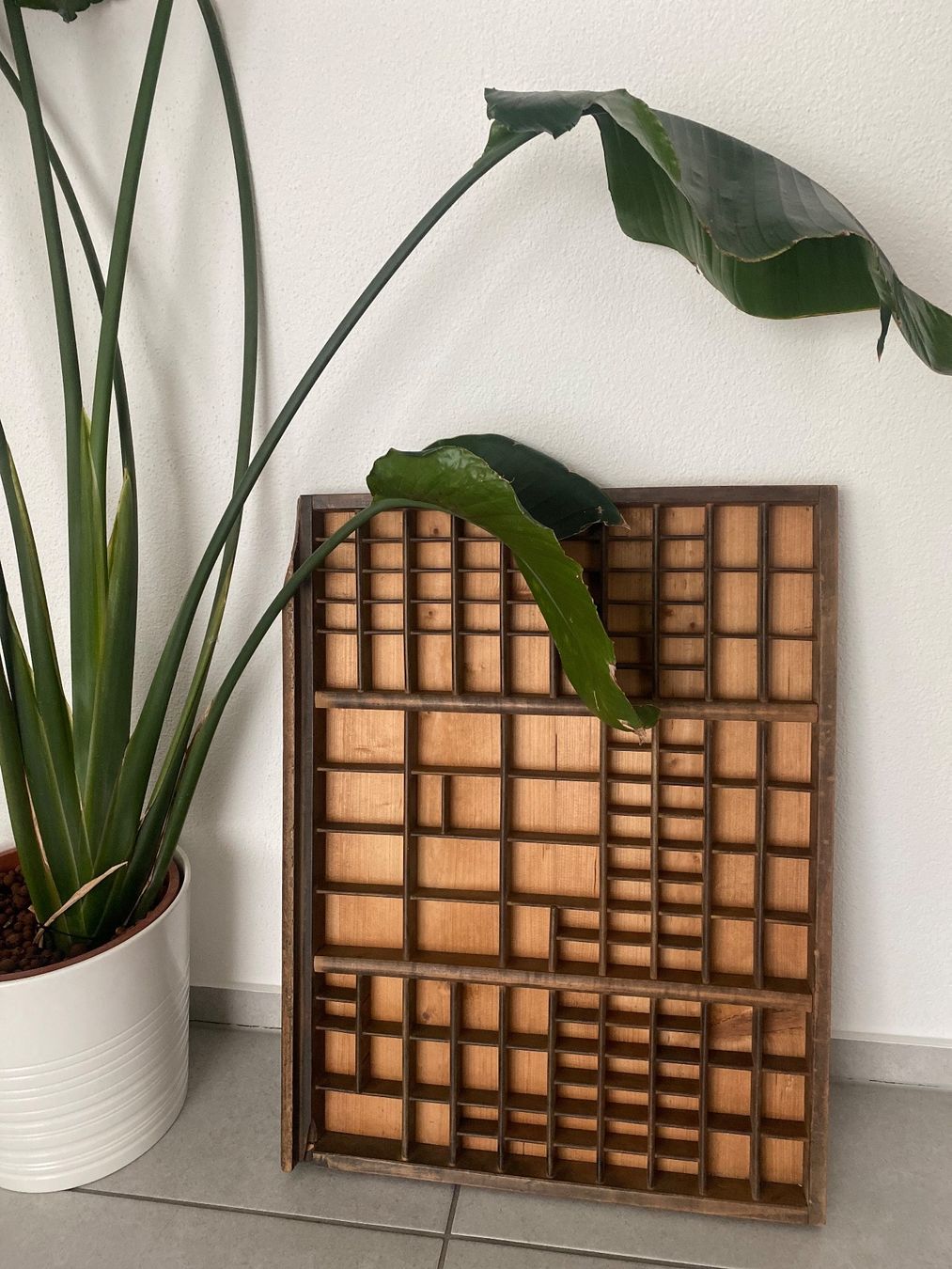 Scaffali: Vintage Letter Press Printer Tray – Usato da Safenwil venduto da rgs_tg62 1