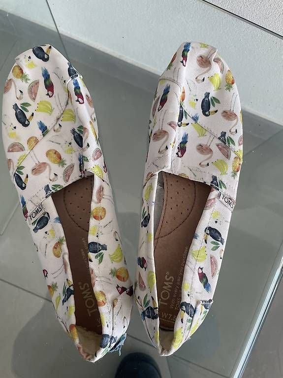 Scarpe per ragazzi: Chaussons TOMS taille 7.5 – Usato da Noville venduto da jga_9lk5 1