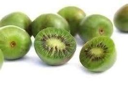 KIWI de Sibérie ! rustique kiwaï  20g