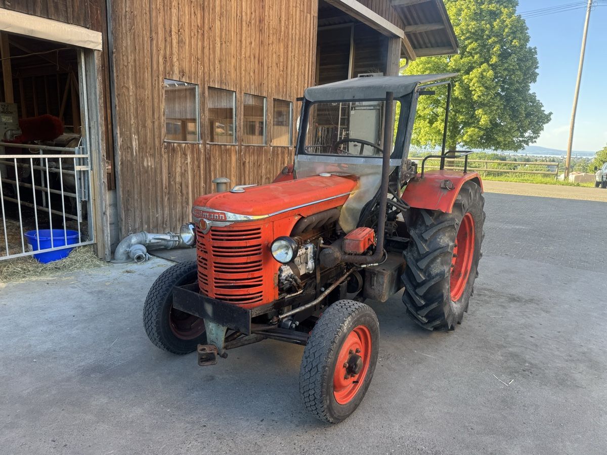 Hürlimann Trattori: Traktor Hürlimann D70 SSP – Usato da Neukirch(Egnach) venduto da farmalld439