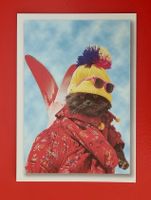 Katze - Skisport