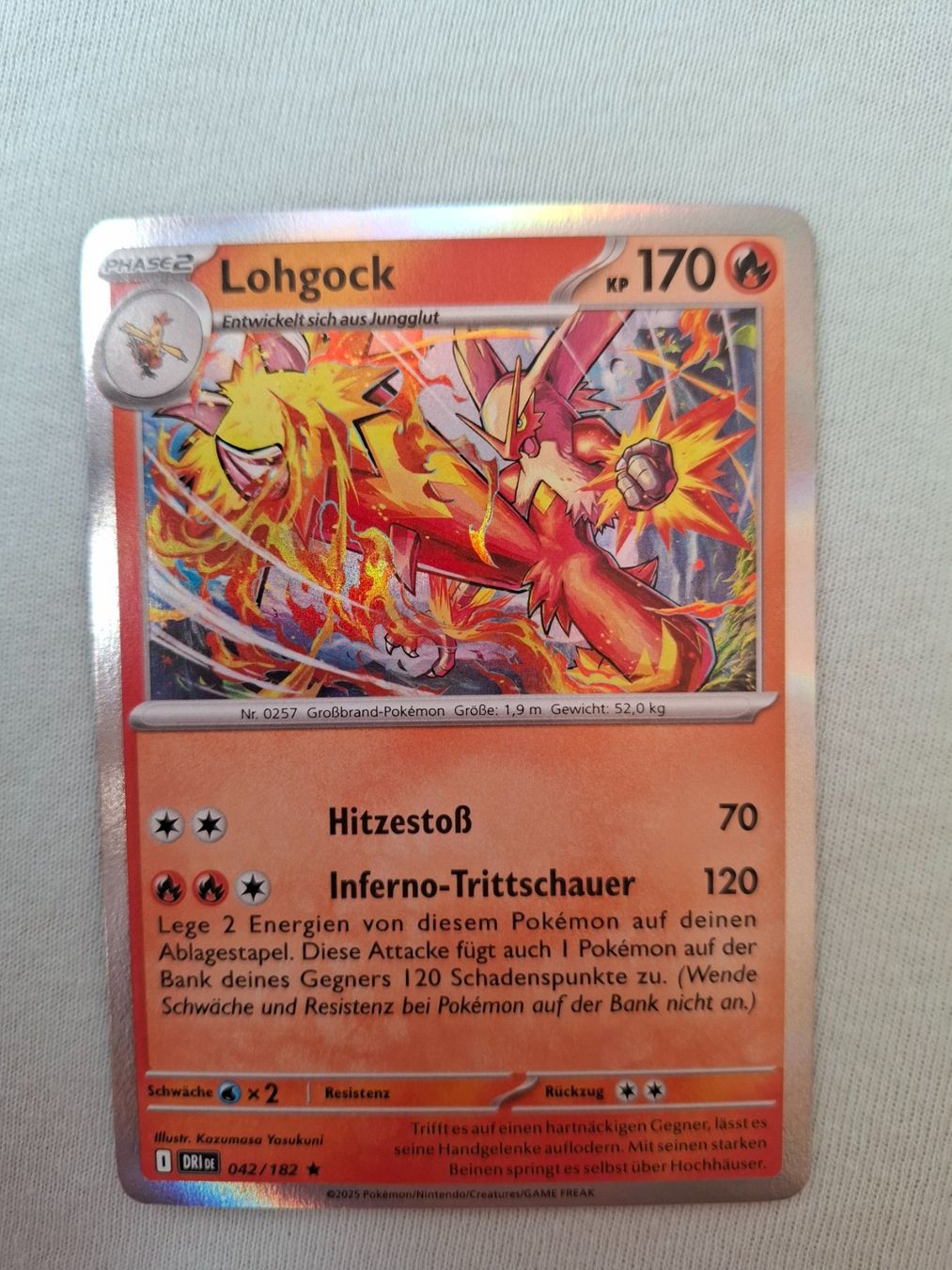Cartoline: Pokemon Karte – Usato da Speicher venduto da Baggy15