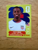 Panini USA 12 Timothy Weah